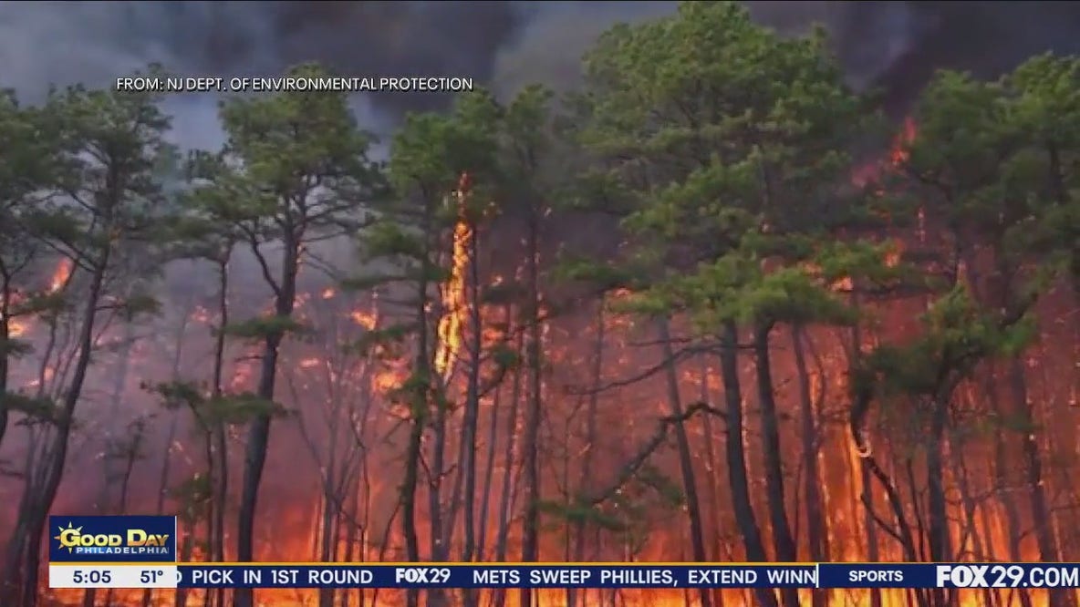 New Jersey wildfire has reached 50% containment